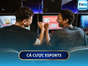 Tại Sao Dân Chơi Esports Chọn TV88 Thay Vì Nơi Khác