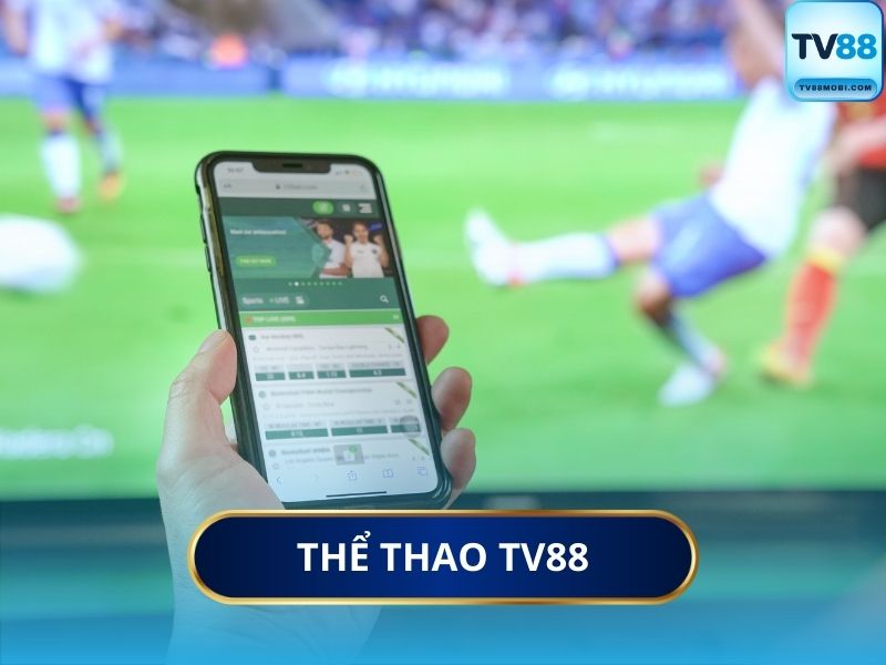 Tại Sao Nên Chọn Cá Cược Thể Thao Tại TV88